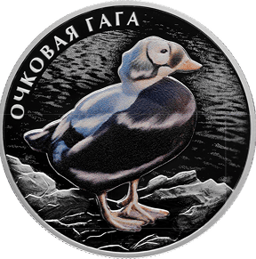 Очковая гага