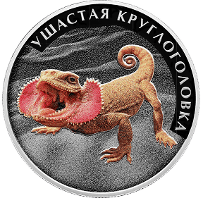 Ушастая круглоголовка